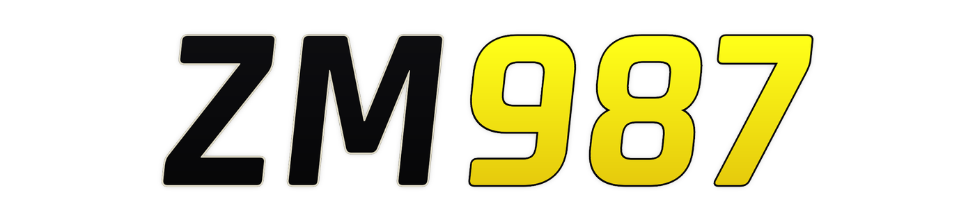zm987 logo